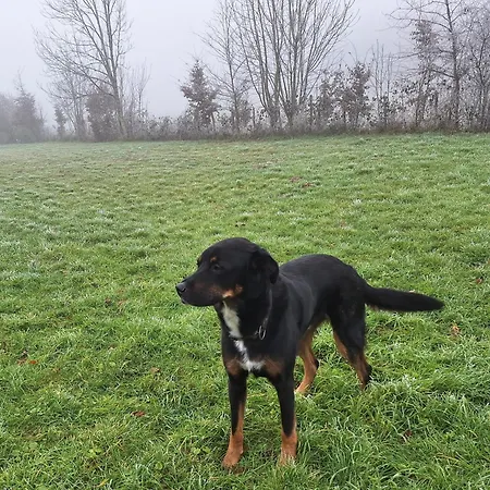 Hébergement de vacances Estuvi, Pause Nature Dans Le Jura