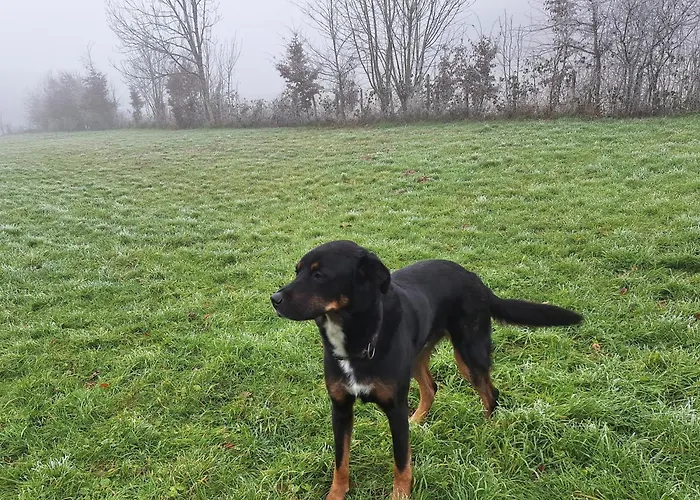 Dom wakacyjny Estuvi, Pause Nature Dans Le Jura